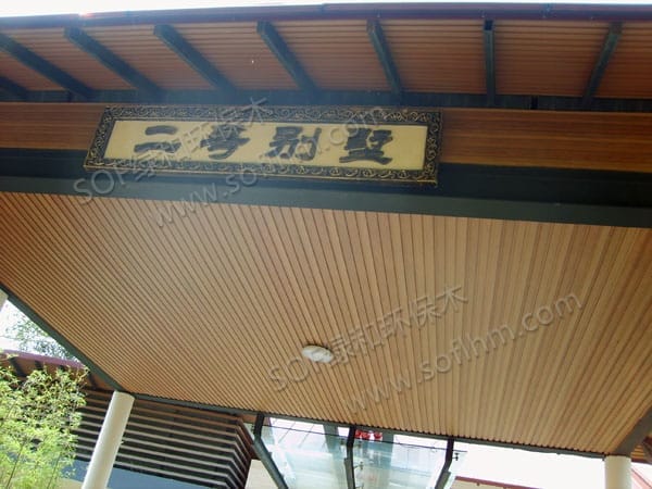 ?????204??????????195????????????