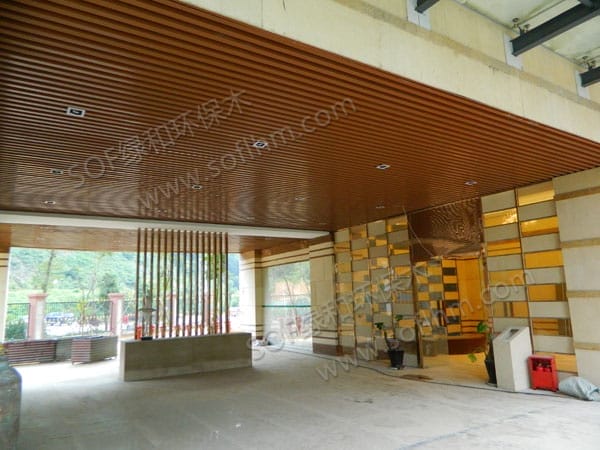 ???????????????10050?????