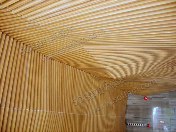 ???????????????????10025??????????