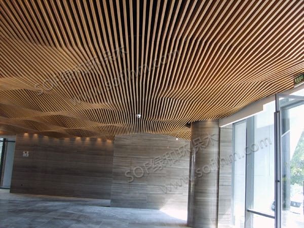 ????????????????????????