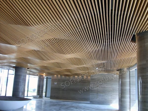 ????????????10035?????