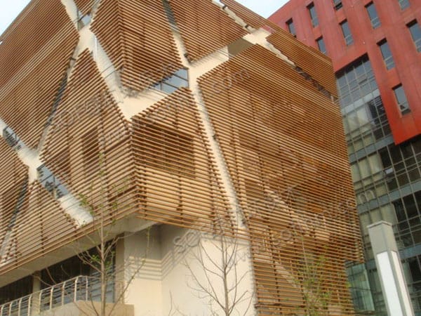 ?????????????????????5050?????