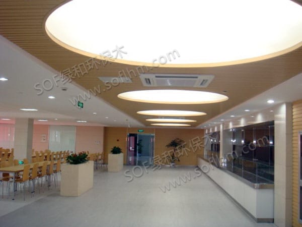 ????????????????(?????204?????)