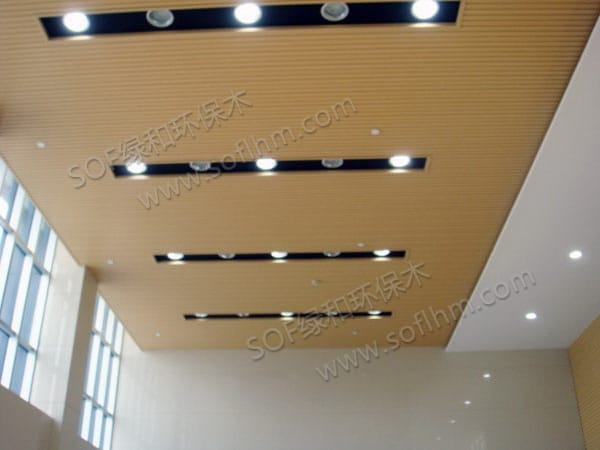 ??????????????????204????壩