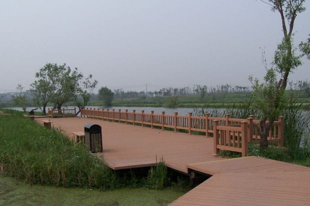 ??????????????????????